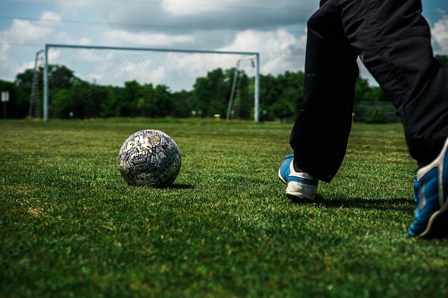 以提升整体 以提升整体