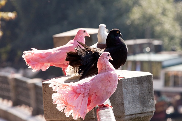 和震撼体验 和震撼体验