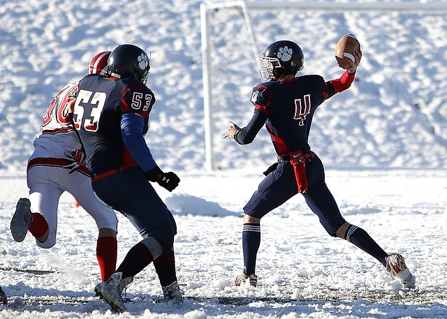 也是激励新 也是激励新