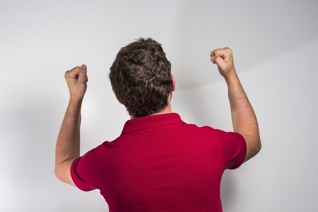 展示了他们 展示了他们