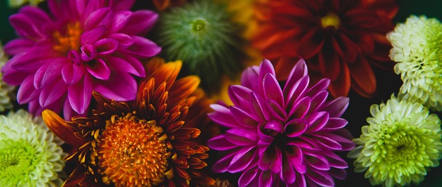 到来似乎打 到来似乎打