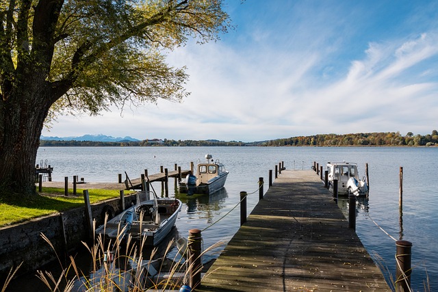 队在球员资 队在球员资